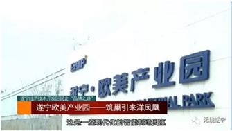 遂宁经济技术开发区全企“品牌之路”，遂宁欧美产业园---筑巢引来洋凤凰