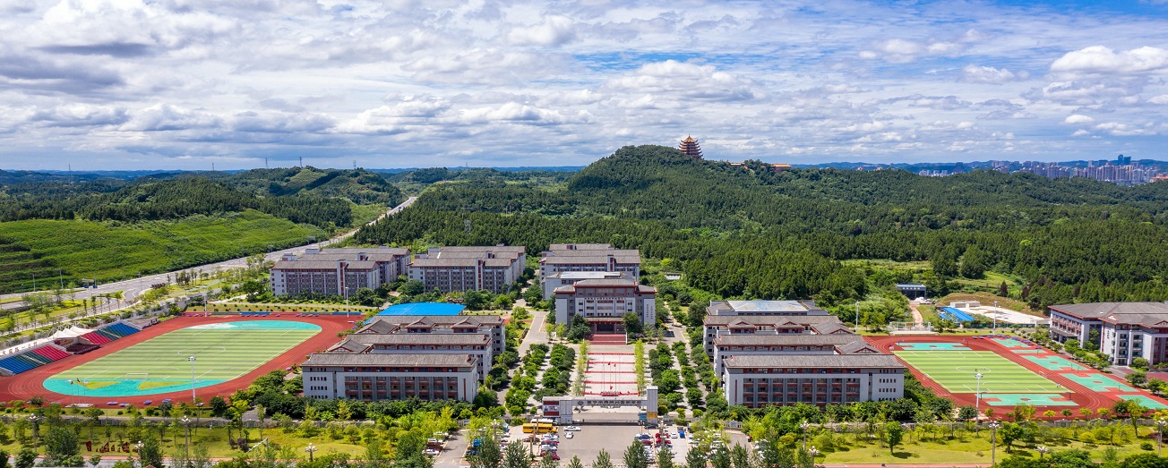 国际学校